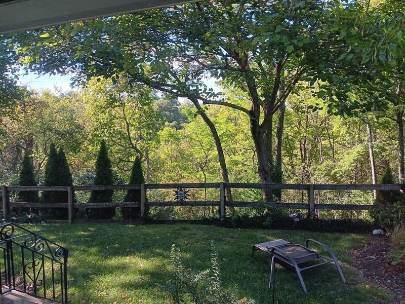 630 Sunset Court, Covington, KY 41011 Photo 19