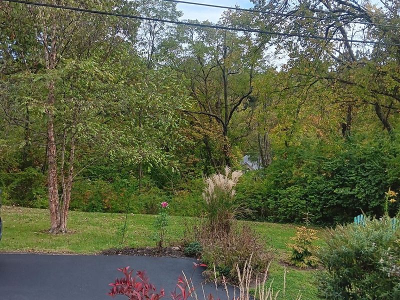 630 Sunset Court, Covington, KY 41011 Photo 23