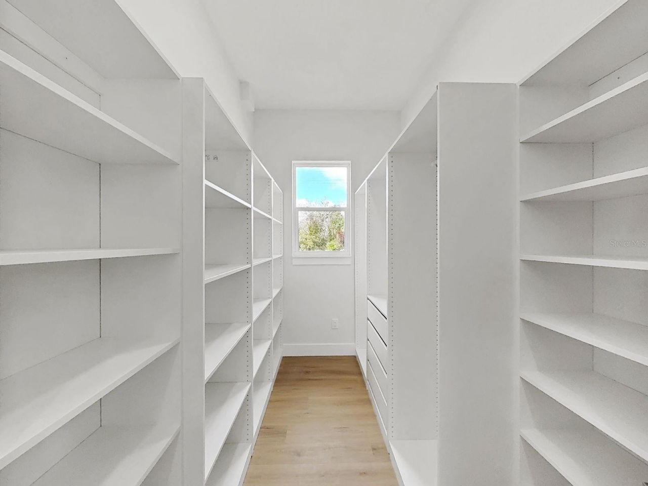 17841 Simmons Road, Lutz, FL 33548 Photo