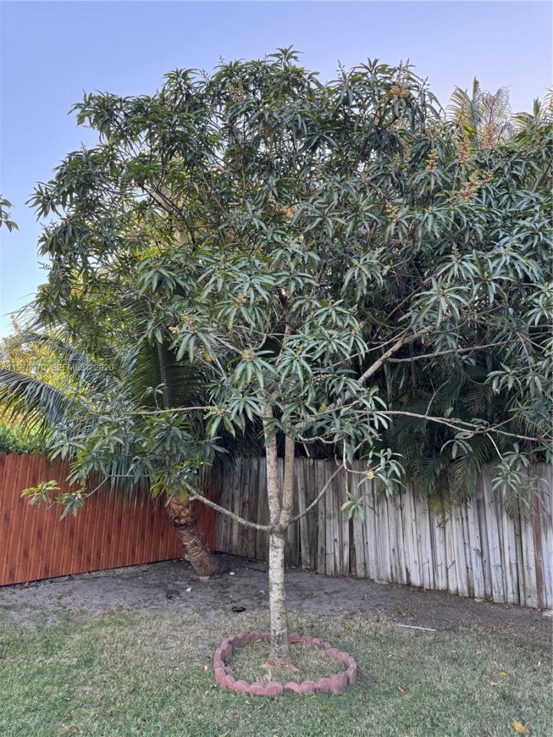 470 NE 127th St, North Miami, FL 33161 Photo