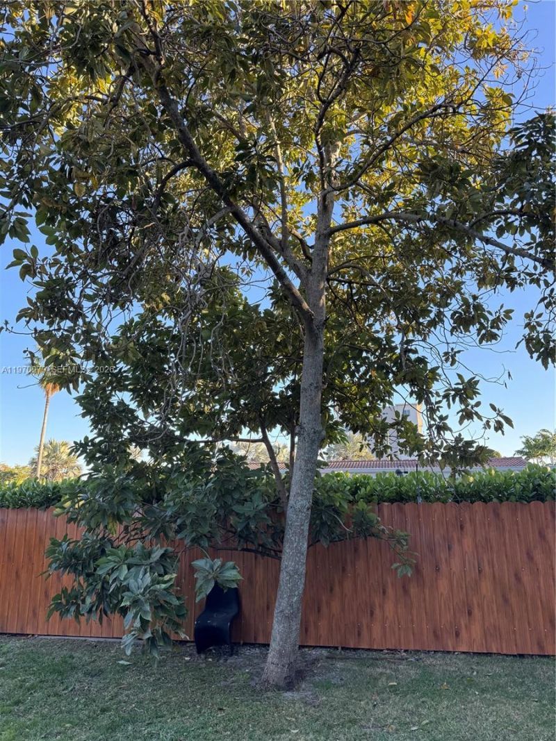 470 NE 127th St, North Miami, FL 33161 Photo