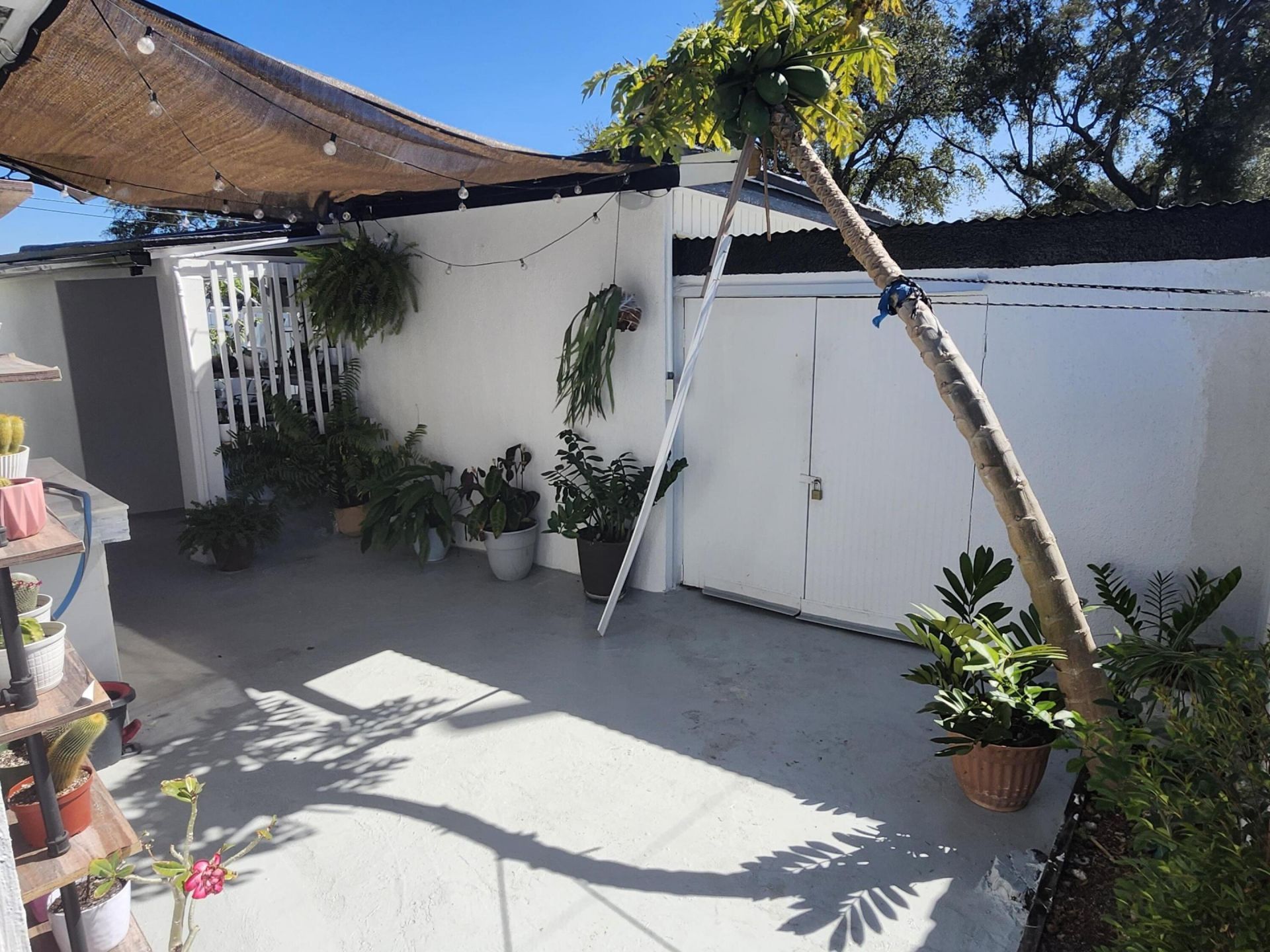 5500 SW Sw 37th Street Street, Davie, FL 33314 Photo