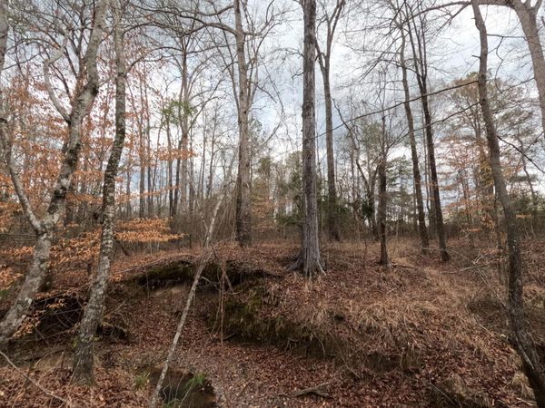 Rockport New Hebron Road, New Hebron, MS 39140