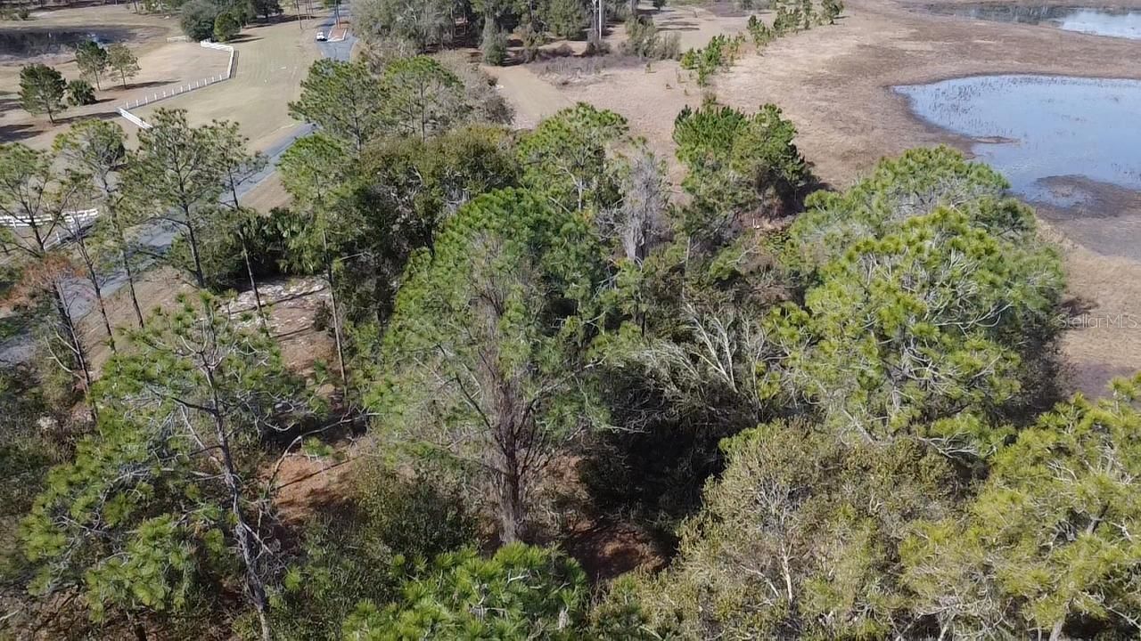 Bonsmara Drive, Leesburg, FL 34748 Main Photo