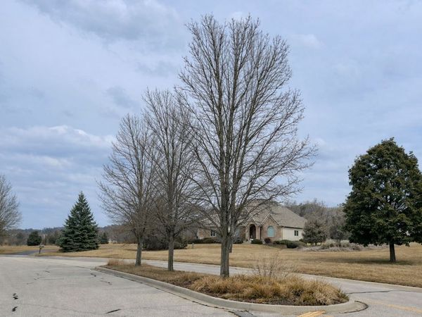 1715 Cedar Lane, Spring Grove, IL 60081