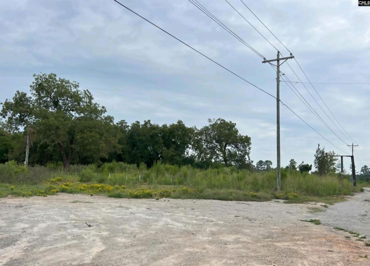 1304 Amicks Ferry Road Photo 4