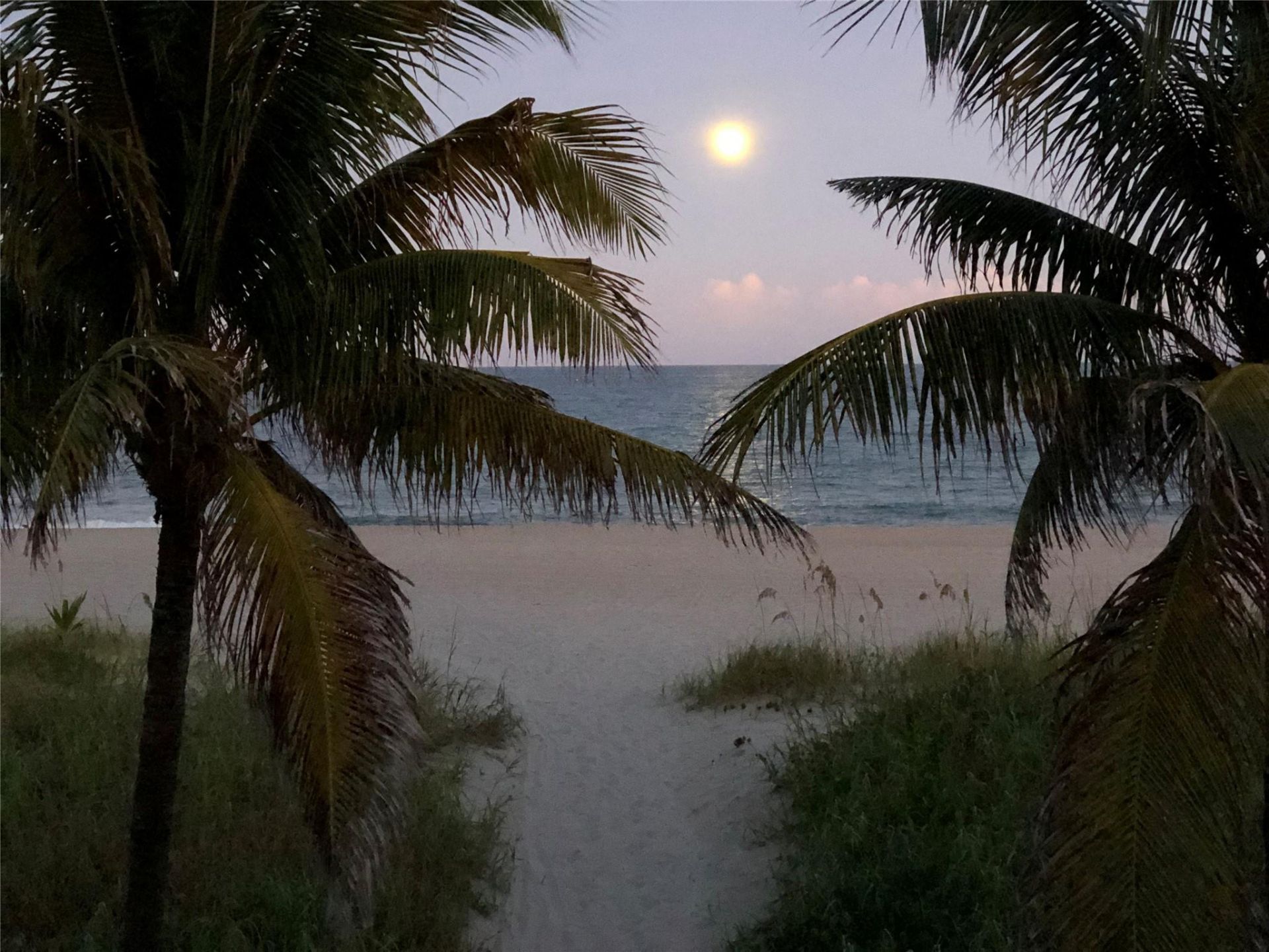 Please Call For Address, Lauderdale by the Sea, FL 33062 Photo