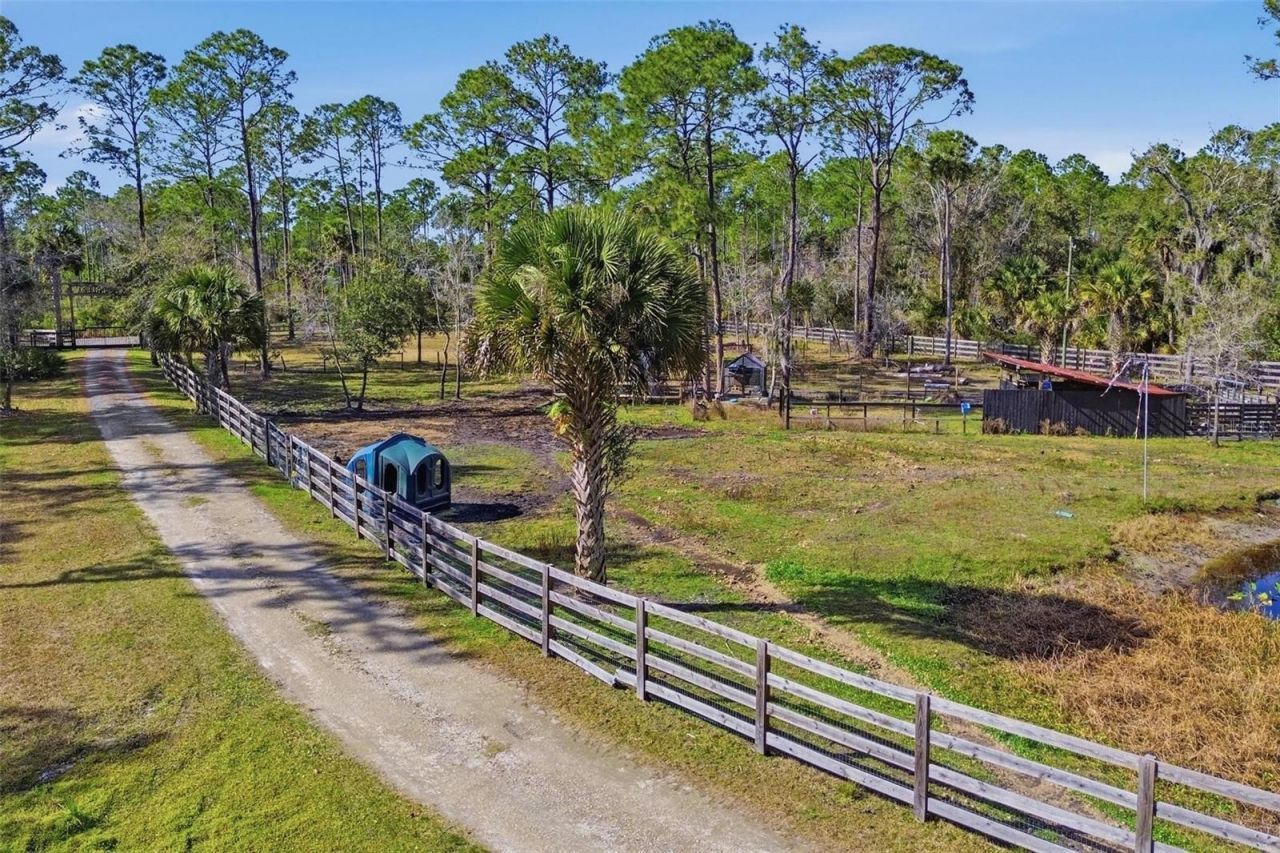 539 Tabatha Drive, Osteen, FL 32764 Photo