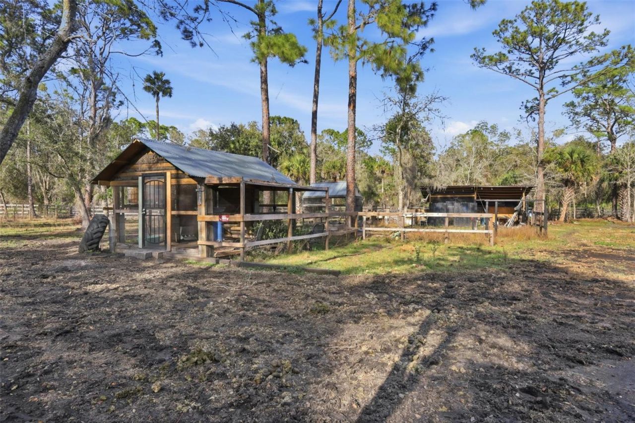 539 Tabatha Drive, Osteen, FL 32764 Photo