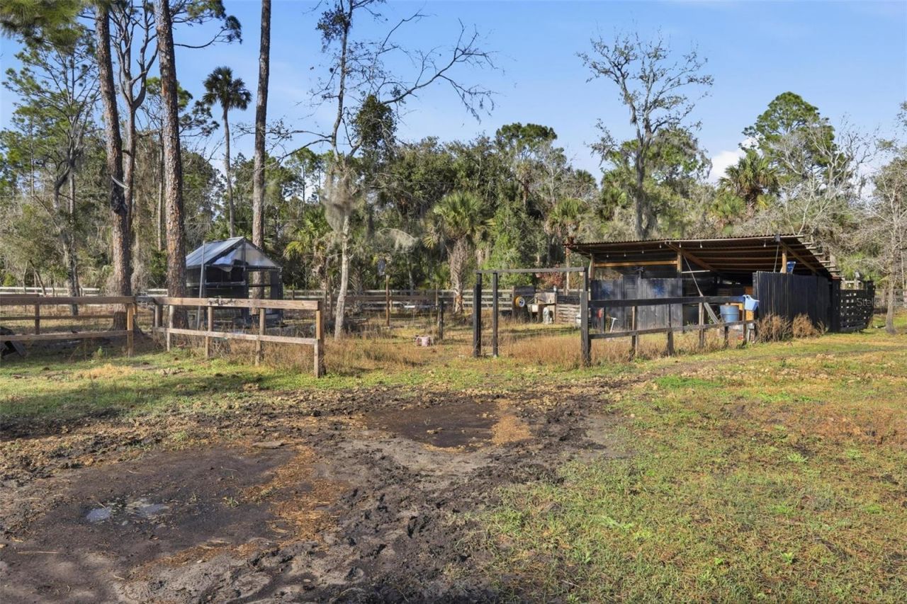 539 Tabatha Drive, Osteen, FL 32764 Photo