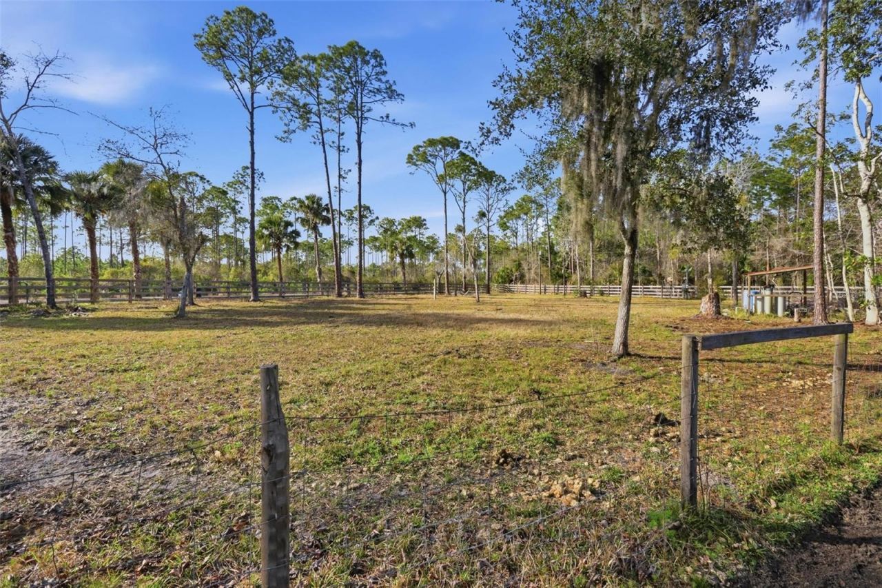 539 Tabatha Drive, Osteen, FL 32764 Photo