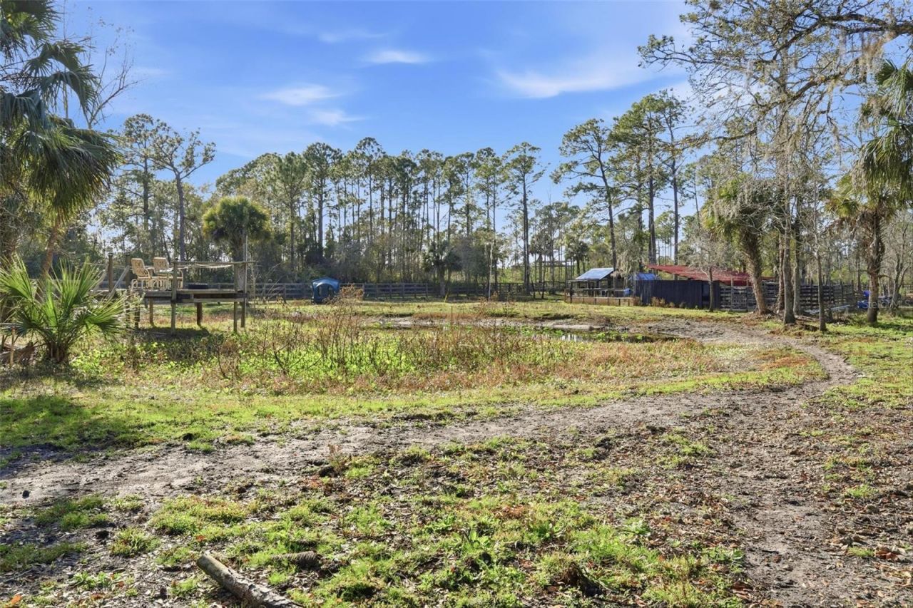 539 Tabatha Drive, Osteen, FL 32764 Photo