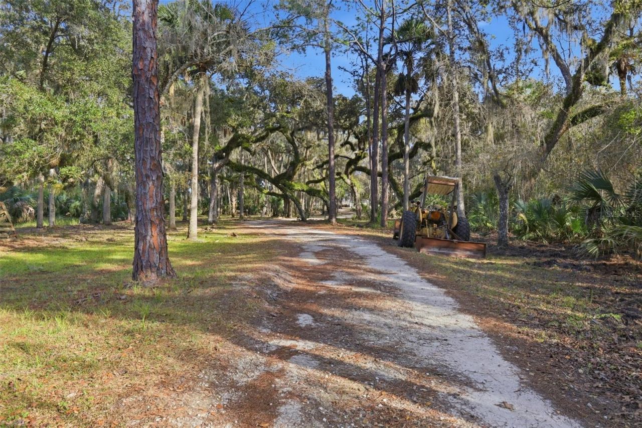 539 Tabatha Drive, Osteen, FL 32764 Photo