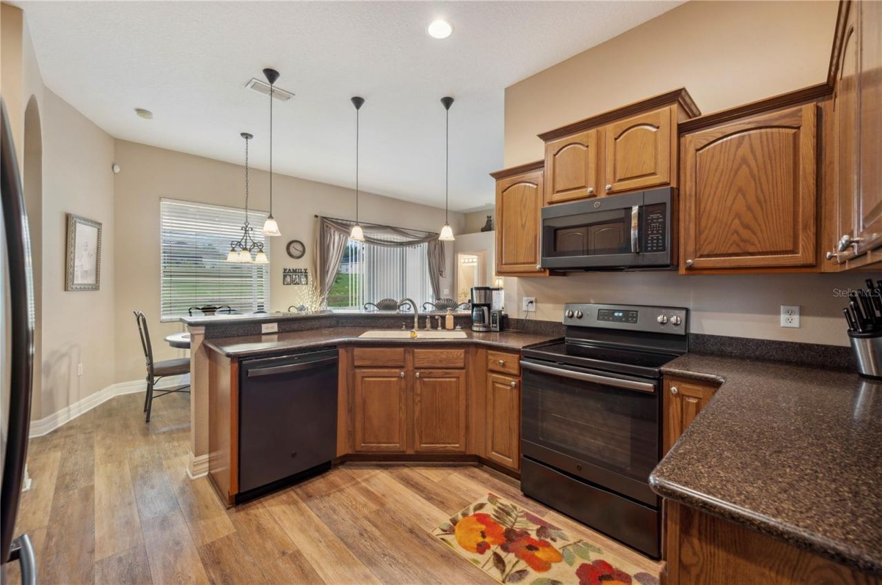 6339 Alamanda Hills Drive, Lakeland, FL 33813 Photo