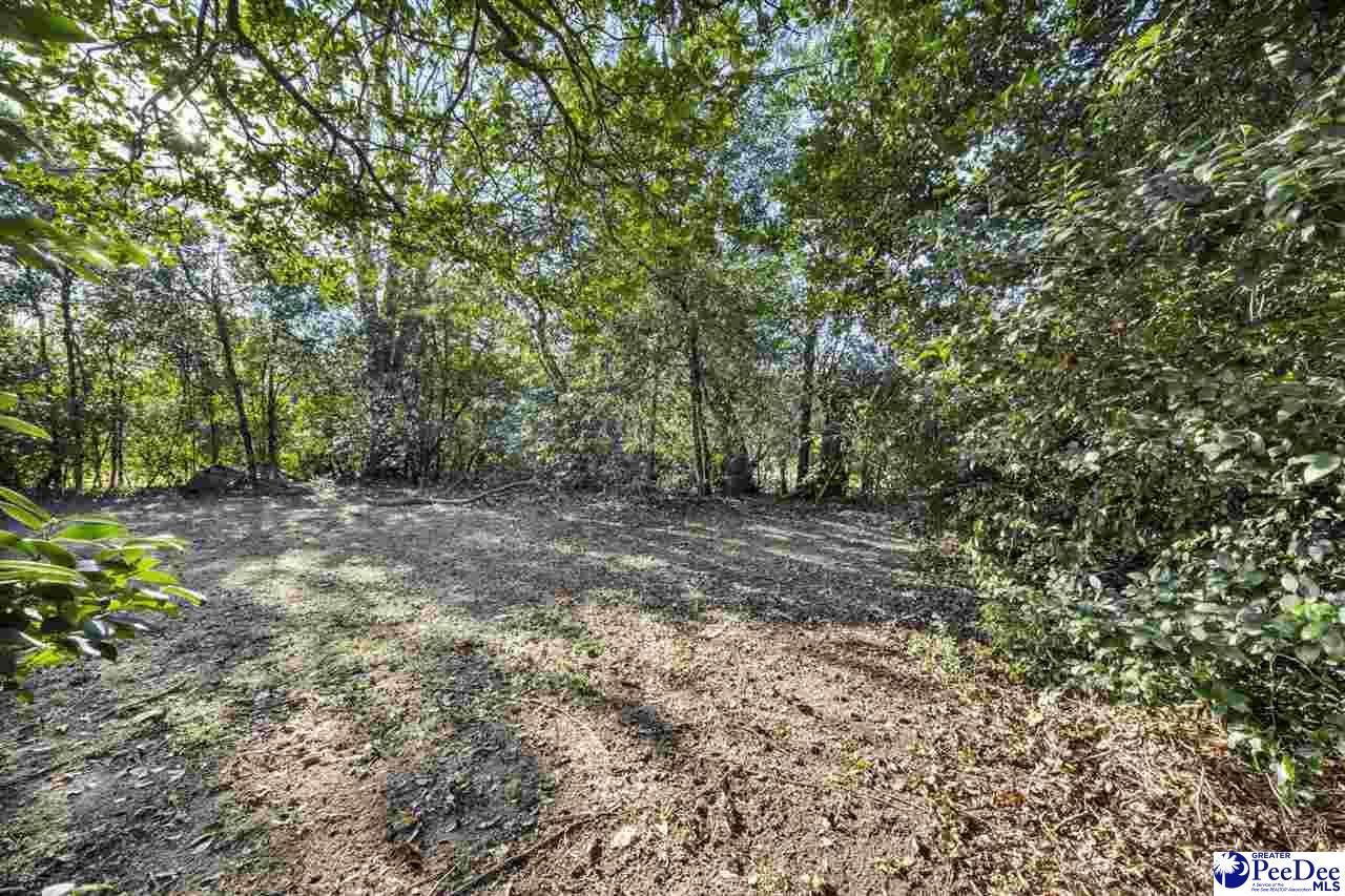 7520 Pell Street Photo 8