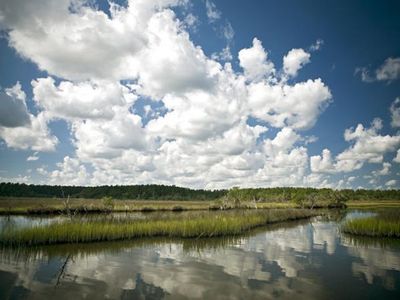 3989 Bulow Landing Road, Ravenel, SC 29470