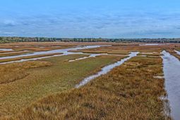 3989 Bulow Landing Road photo 4