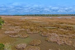 3989 Bulow Landing Road photo 4