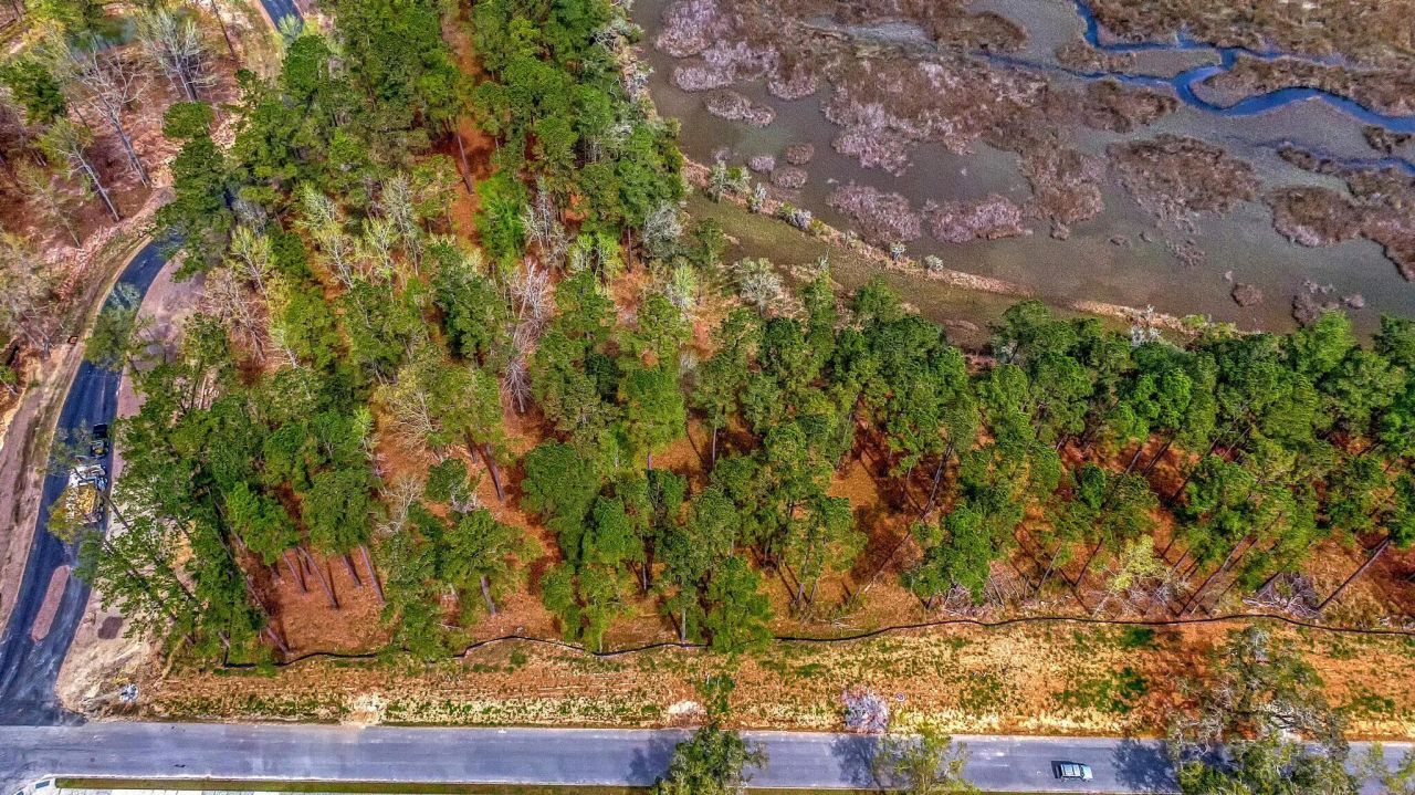 3989 Bulow Landing Road Photo 4