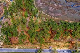 3989 Bulow Landing Road photo 4