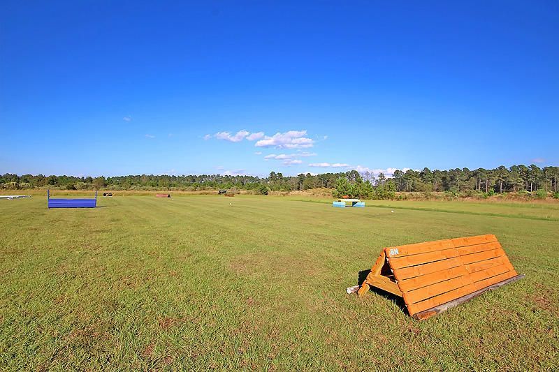 3989 Bulow Landing Road Photo 42