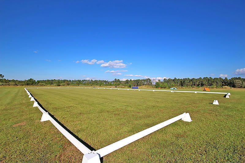 3989 Bulow Landing Road Photo 81