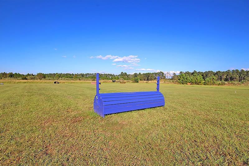 3989 Bulow Landing Road Photo 85