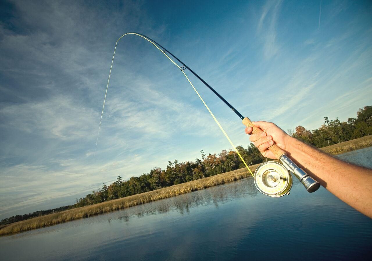 3989 Bulow Landing Road Photo 94