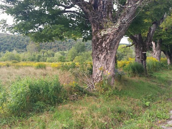 0 Old County Lane, Readsboro, VT 05350