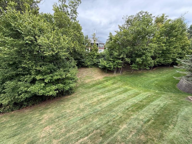 913 Ashridge Court, Erlanger, KY 41018 Photo 4