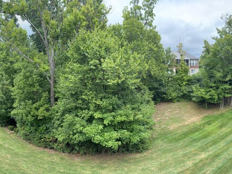 913 Ashridge Court, Erlanger, KY 41018 Photo 5