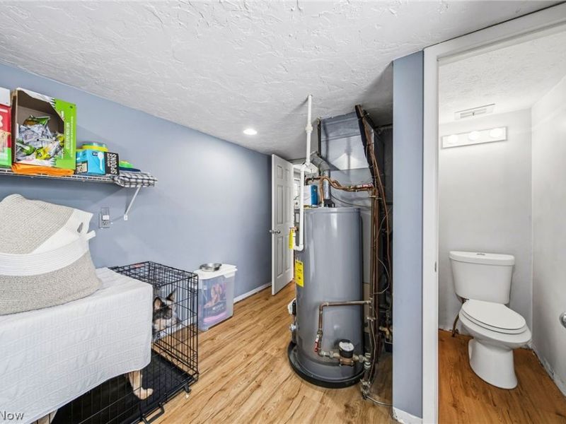 7416 Larkspur Drive, Mentor on the Lake, OH 44060 Photo 19