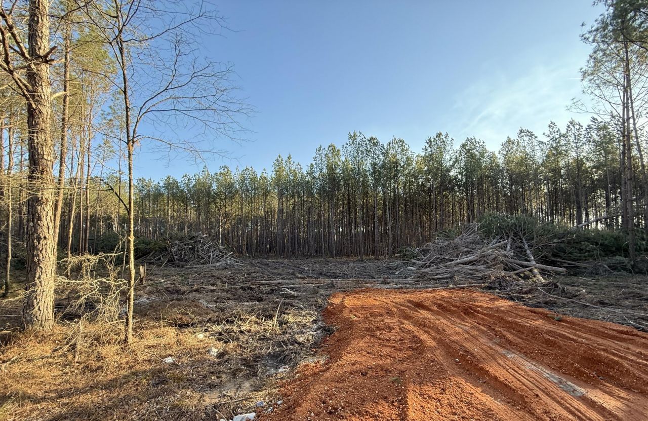 Tract #3 Mike Parra Road, Columbus, MS 39705 Main Photo