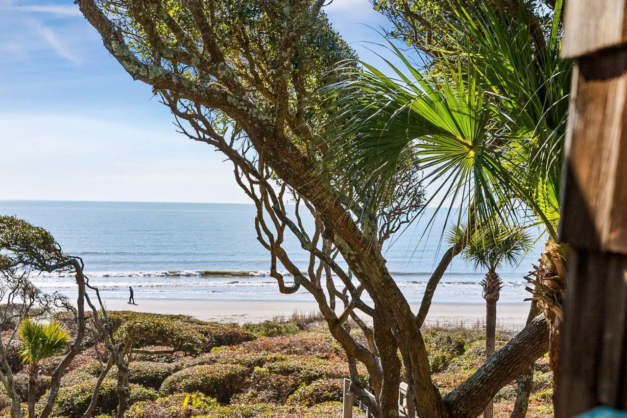 4424 Sea Forest Drive Photo 15