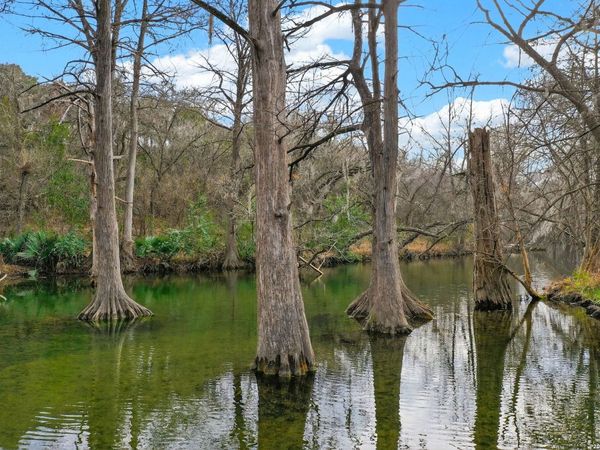 135 Agarita, Spring Branch, TX 78070