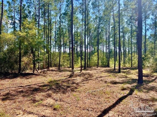 Lot 75 Naturewalk Dr, Jay, FL 32565