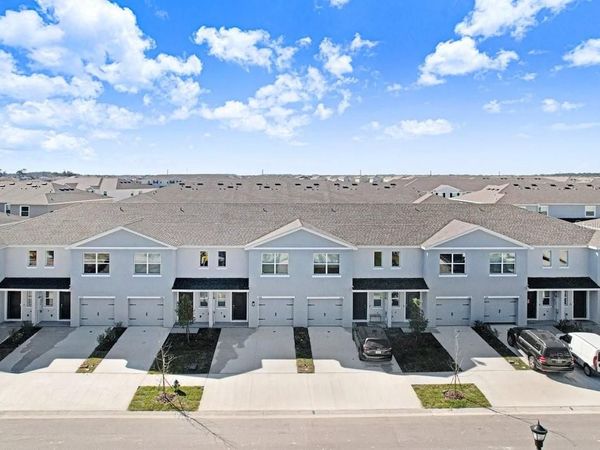 31298 PAPER BIRCH STREET, WESLEY CHAPEL, FL 33545