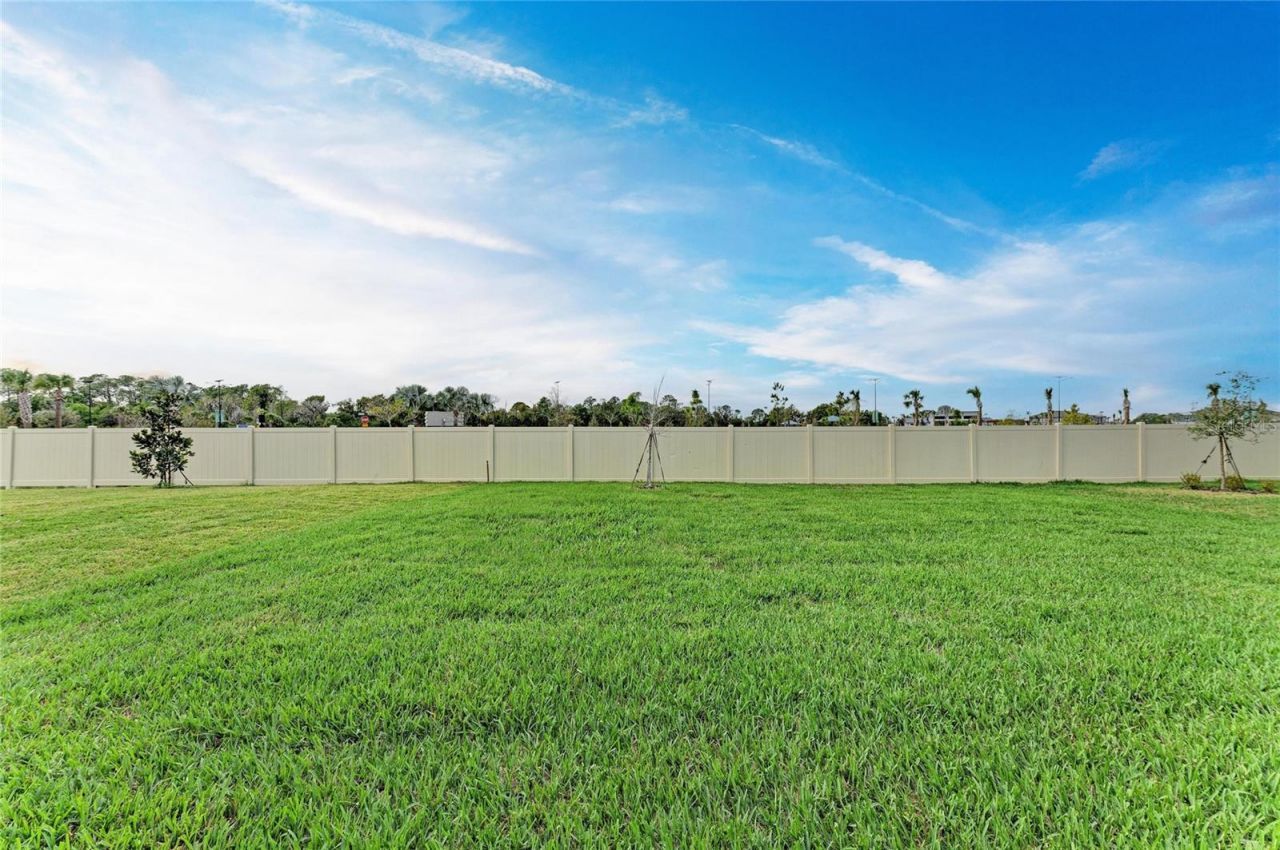 8509 Dove Bog Terrace, Parrish, FL 34219 Photo