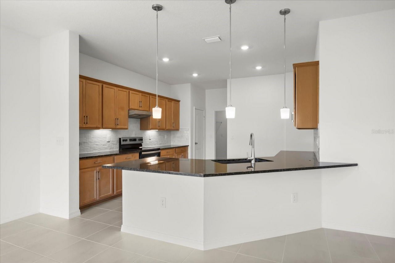 540 Carya Way, Auburndale, FL 33823 Photo