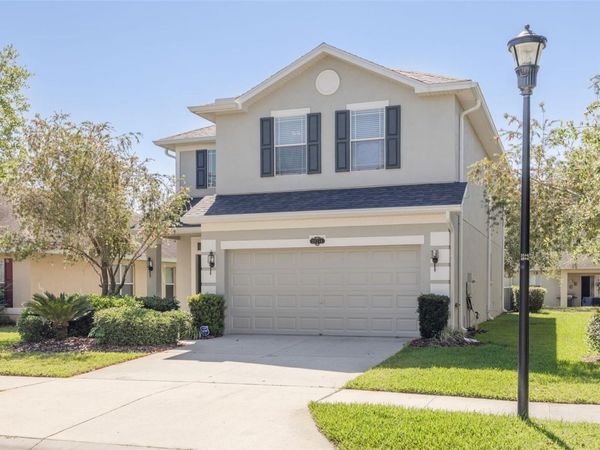 20215 NATURES SPIRIT DRIVE, TAMPA, FL 33647