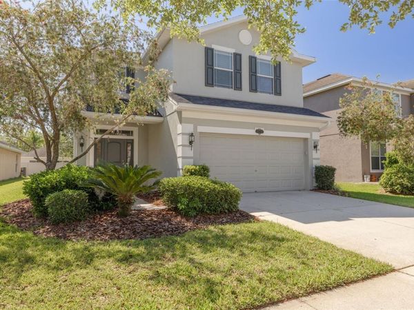 20215 NATURES SPIRIT DRIVE, TAMPA, FL 33647