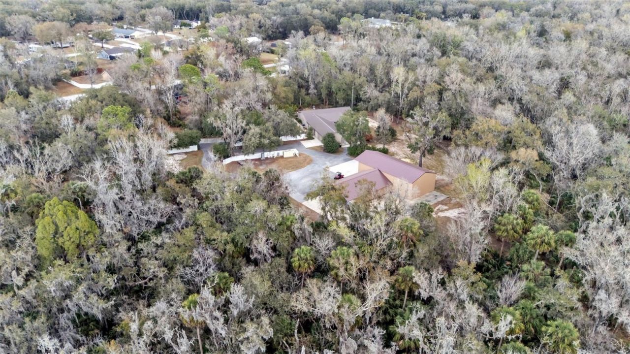 6400 Forestwood Drive E, Lakeland, FL 33811 Photo