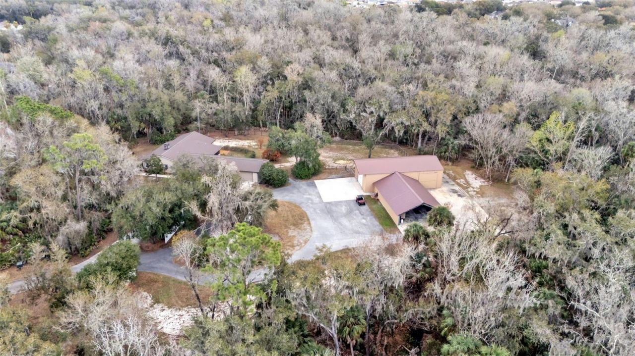 6400 Forestwood Drive E, Lakeland, FL 33811 Photo