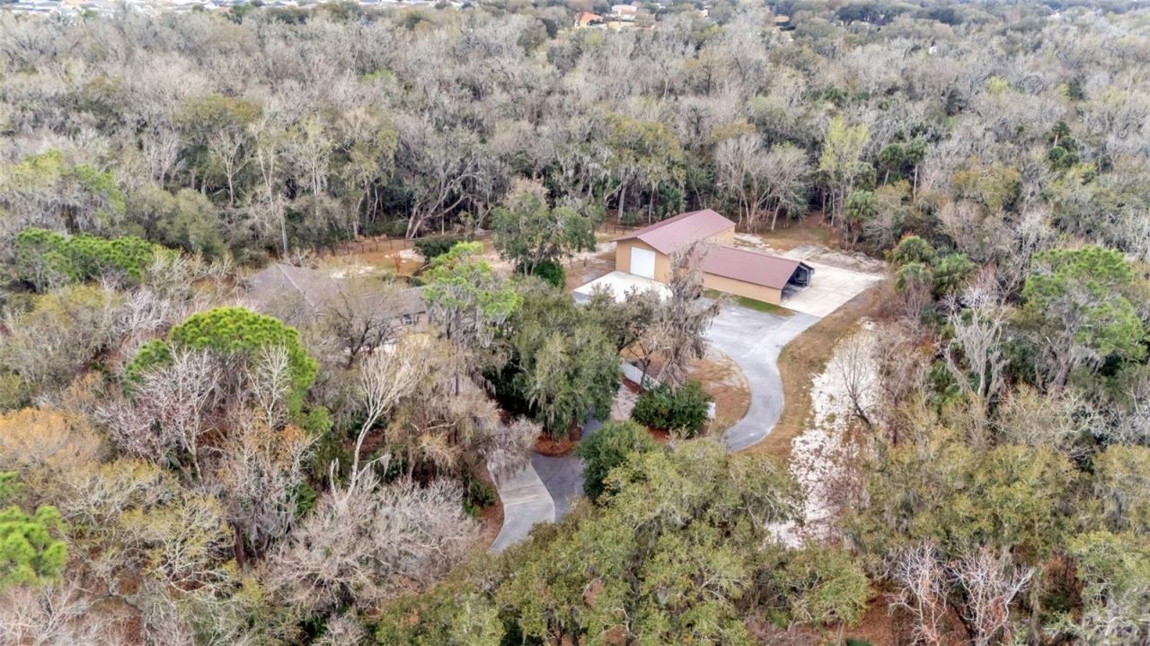 6400 Forestwood Drive E, Lakeland, FL 33811 Photo