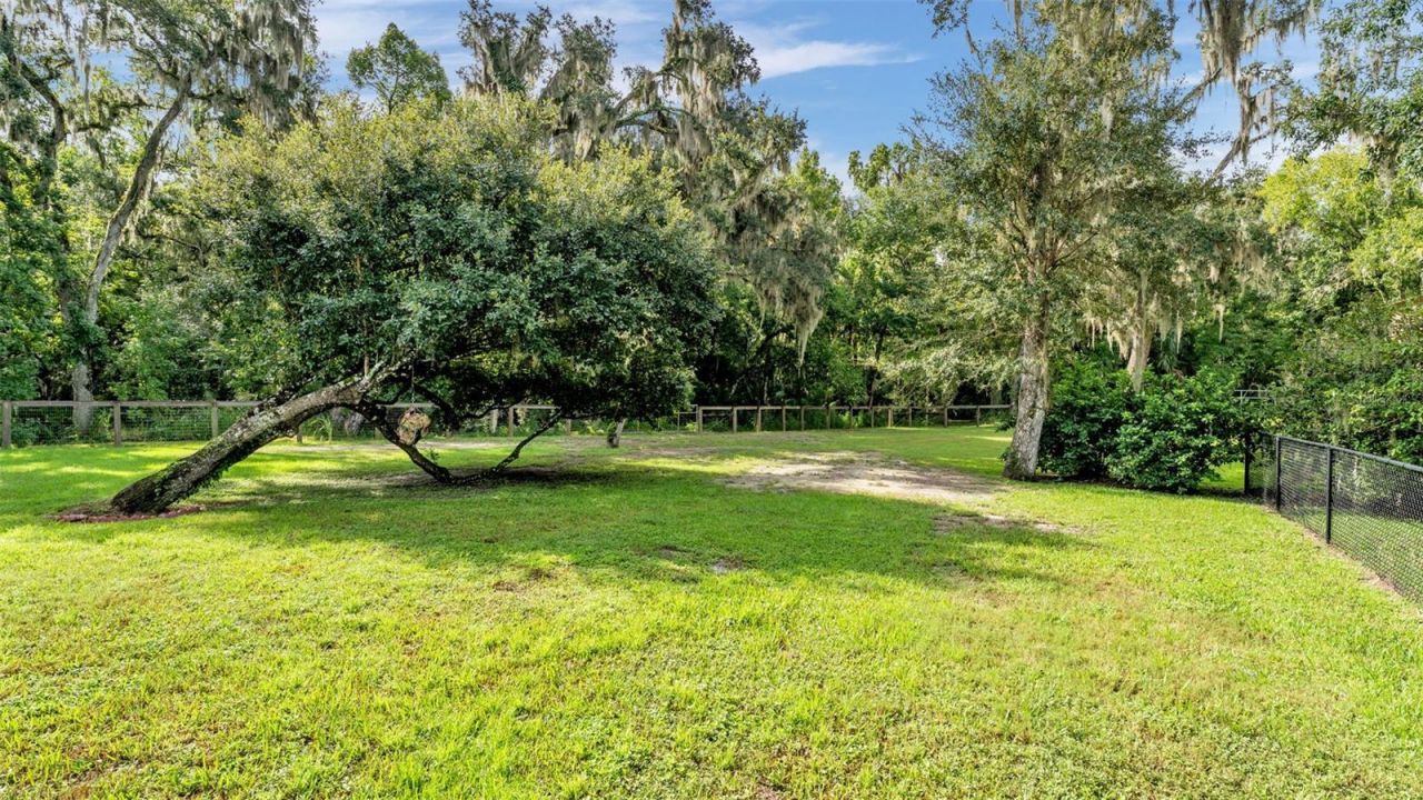 6400 Forestwood Drive E, Lakeland, FL 33811 Photo