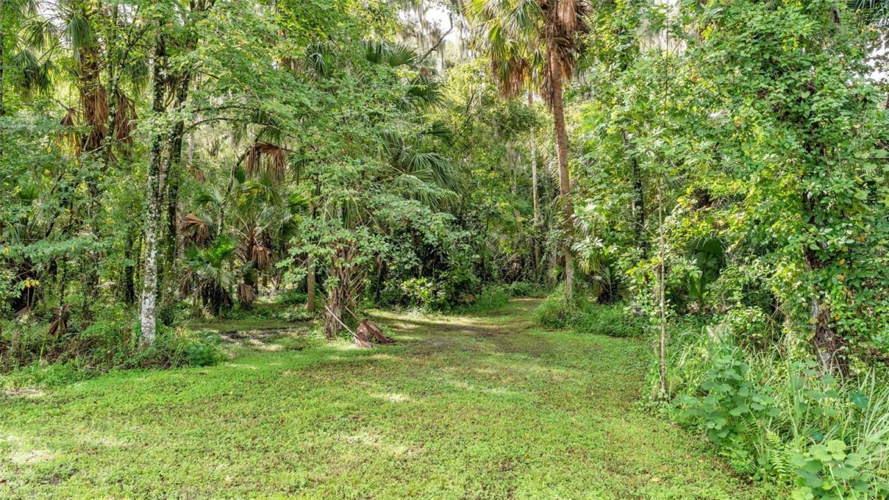 6400 Forestwood Drive E, Lakeland, FL 33811 Photo