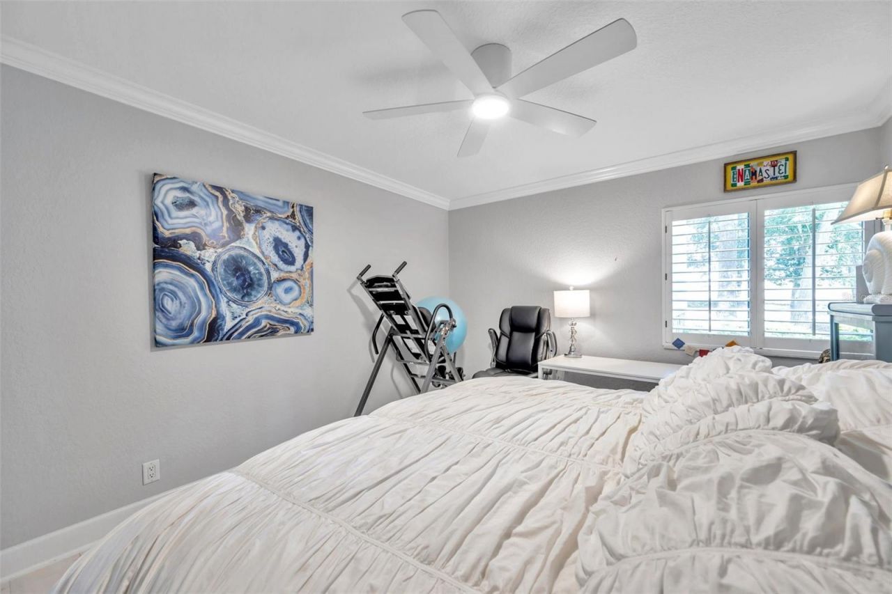 36750 Us Highway 19 N, Unit 27101, Palm Harbor, FL 34684 Photo