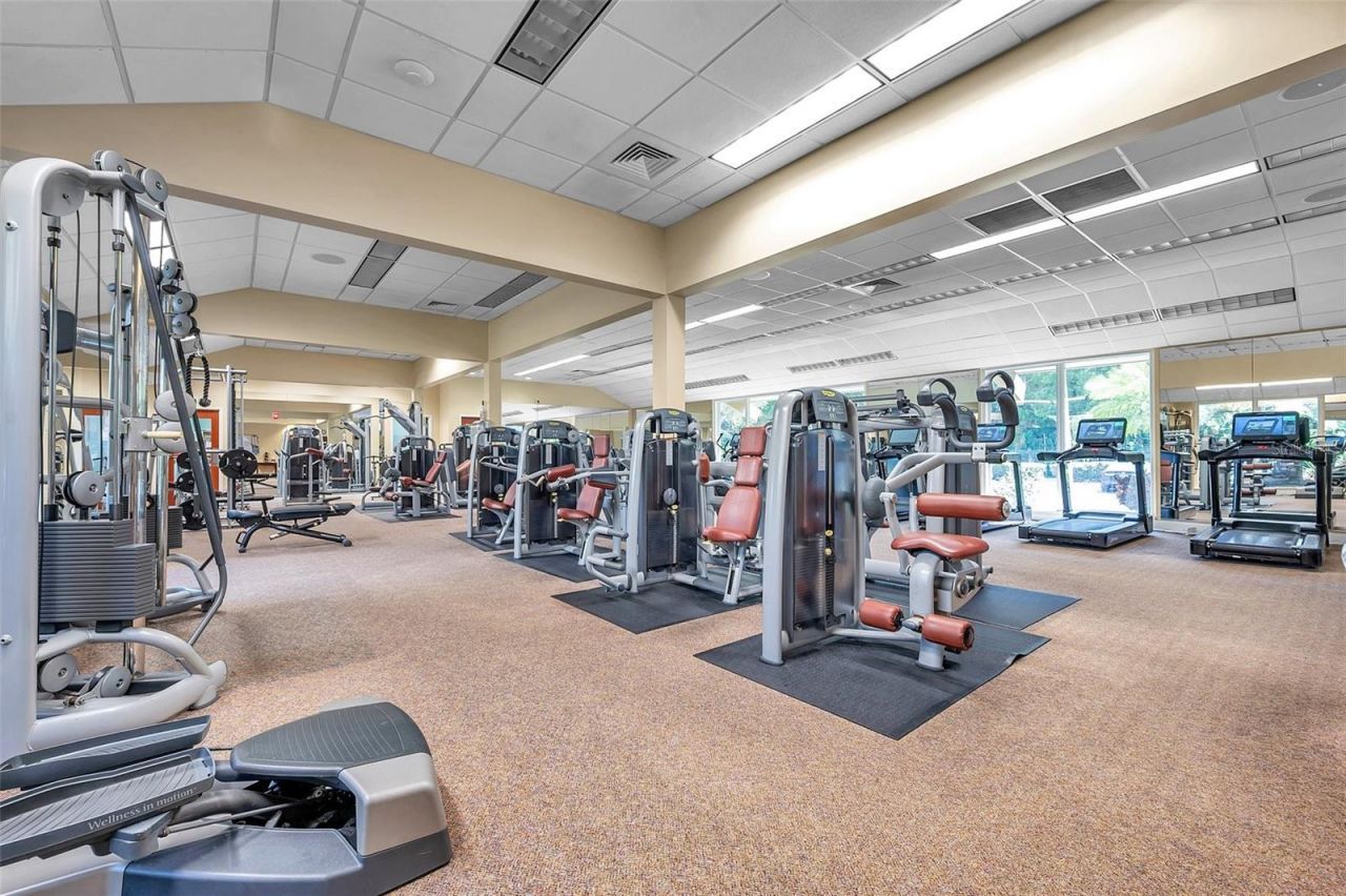 36750 Us Highway 19 N, Unit 27101, Palm Harbor, FL 34684 Photo