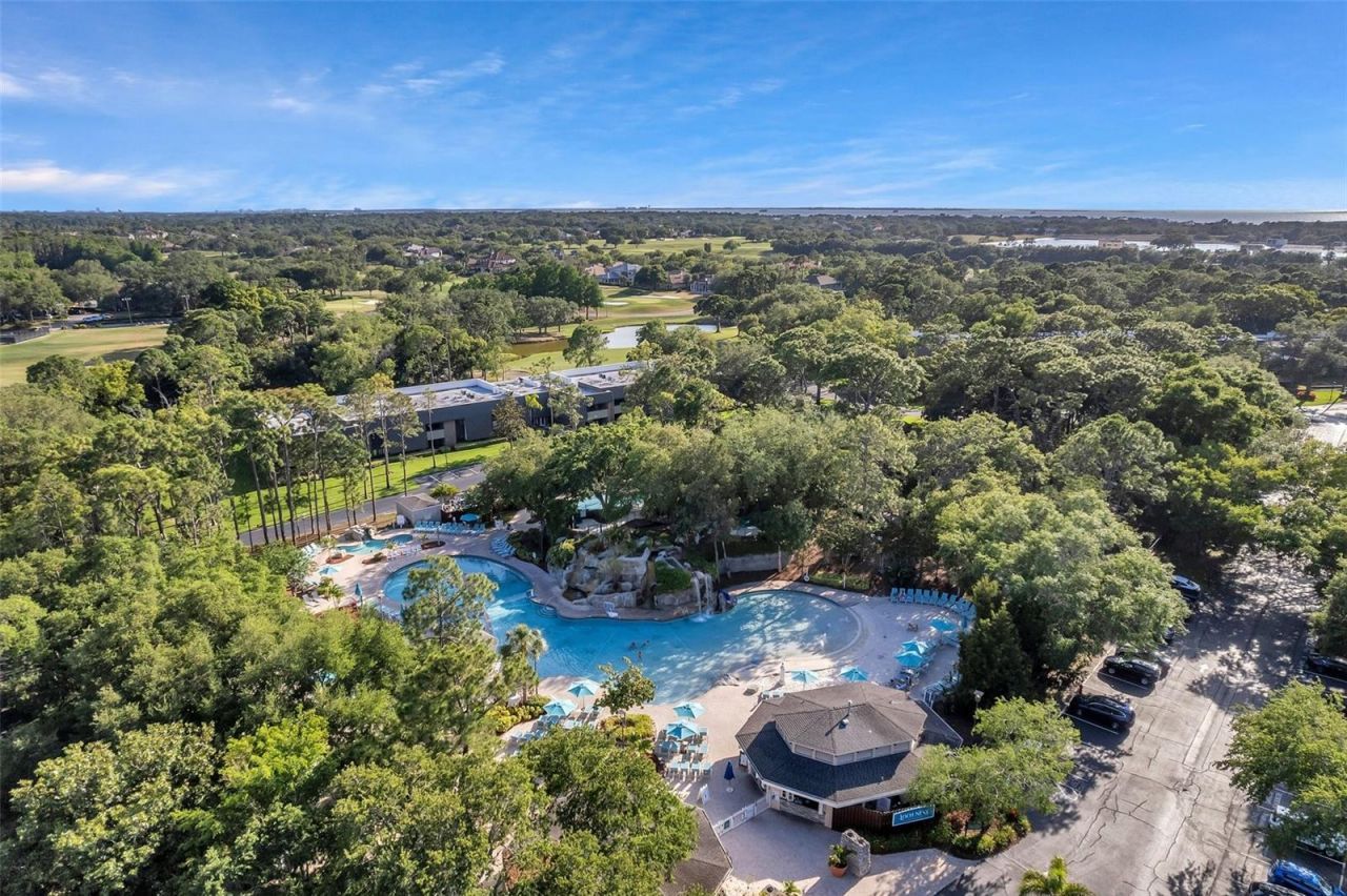 36750 Us Highway 19 N, Unit 27101, Palm Harbor, FL 34684 Photo