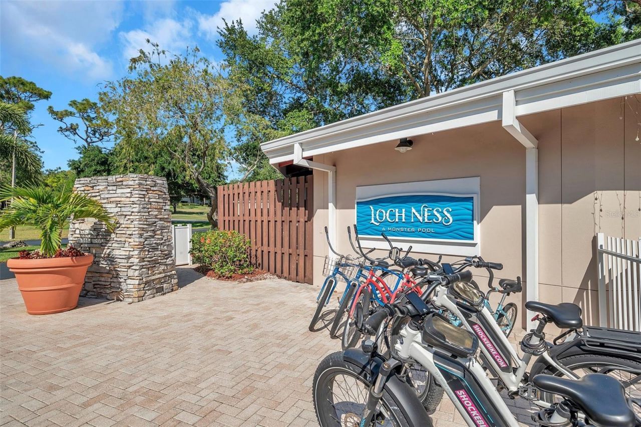 36750 Us Highway 19 N, Unit 27101, Palm Harbor, FL 34684 Photo